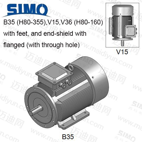 YE2(IP55)系列-機(jī)座帶底腳、端蓋上有凸緣(帶通孔)電動(dòng)機(jī)