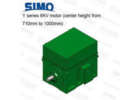 Y系列 6KV(中心高710-1000) 三相異步電動(dòng)機(jī)